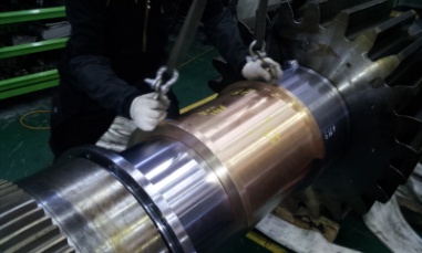 Pinion Assembly