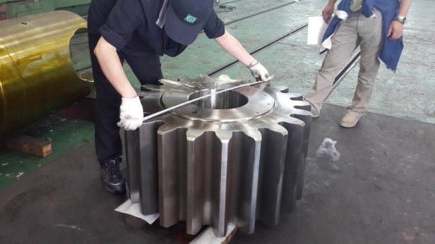 Pinion Gear