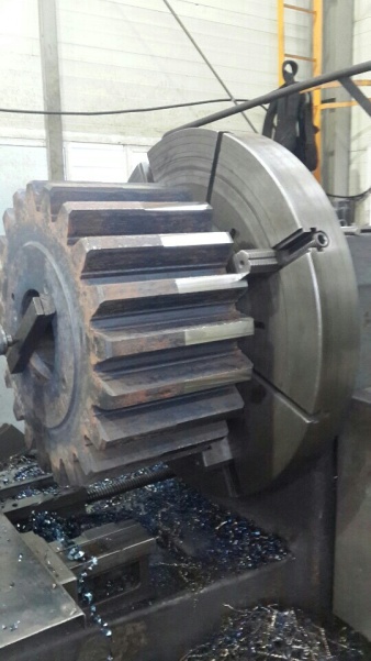 Pinion Gear